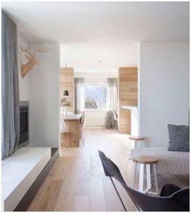 Le bois est omniprésent dans le style scandinave, à commencer par la structure de la maison elle même, les formes sont simples et les teintes claires, les meubles recherchent l’ergonomie, les fonctionnalités et le coté pratique. Les tapis moelleux sont de couleurs franches Le style est sobre, naturel, épuré, chaleureux, les couleurs de prédilection sont le vert, le rose, le jaune, le bleu, le blanc, le gris et le beige. Les matières naturelles sont à l’honneur tel Bois, rotin, cuir, laine, fourrure, coton, acier.