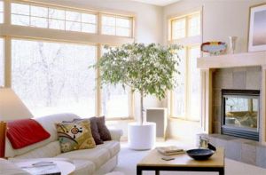 decoration-Feng-Shui-12
