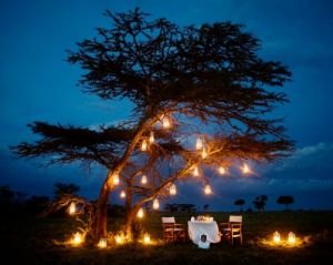 decoration pour la saint valentin : arbre illuminé